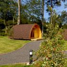 Falcon Forest Glamping