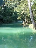 Moe's Place Caribbean Lodges and Campsite In San Ignacio Cayo Belize