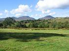 Cae Gwyn Farm and Nature Reserve