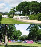 Pear Tree Touring Park