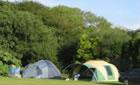 Brynawelon Touring and Camping Park