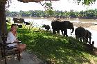 Croc Valley Camp, Zambia