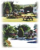 Quantock Orchard Touring Caravan and Camping Park