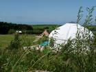Yurts, Camping and Glamping at Mill Haven Place in Pembrokeshire
