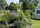 Charris Camping and Caravan Park