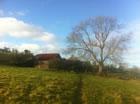 Henbant Bach Farm, camp on our sustainable permaculture farm